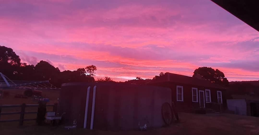 Ruby'S Cottage Farm Stay Port Arthur Esterno foto