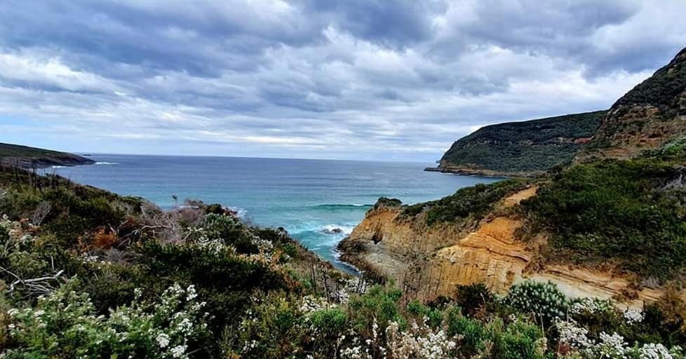 Ruby'S Cottage Farm Stay Port Arthur Esterno foto