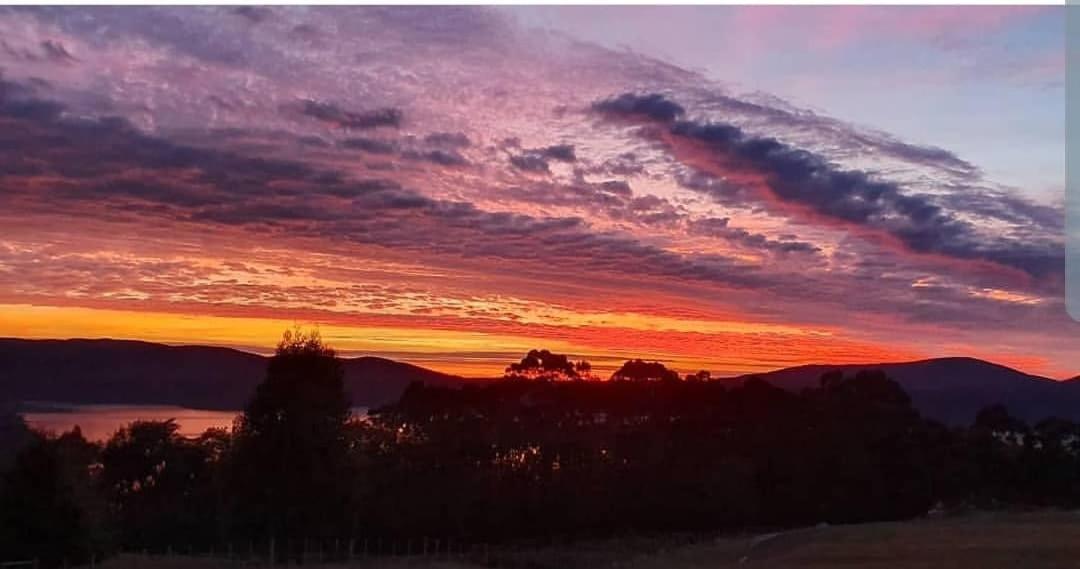 Ruby'S Cottage Farm Stay Port Arthur Esterno foto