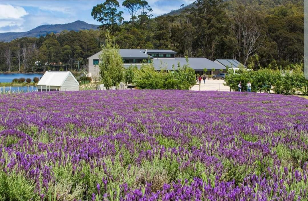 Ruby'S Cottage Farm Stay Port Arthur Esterno foto