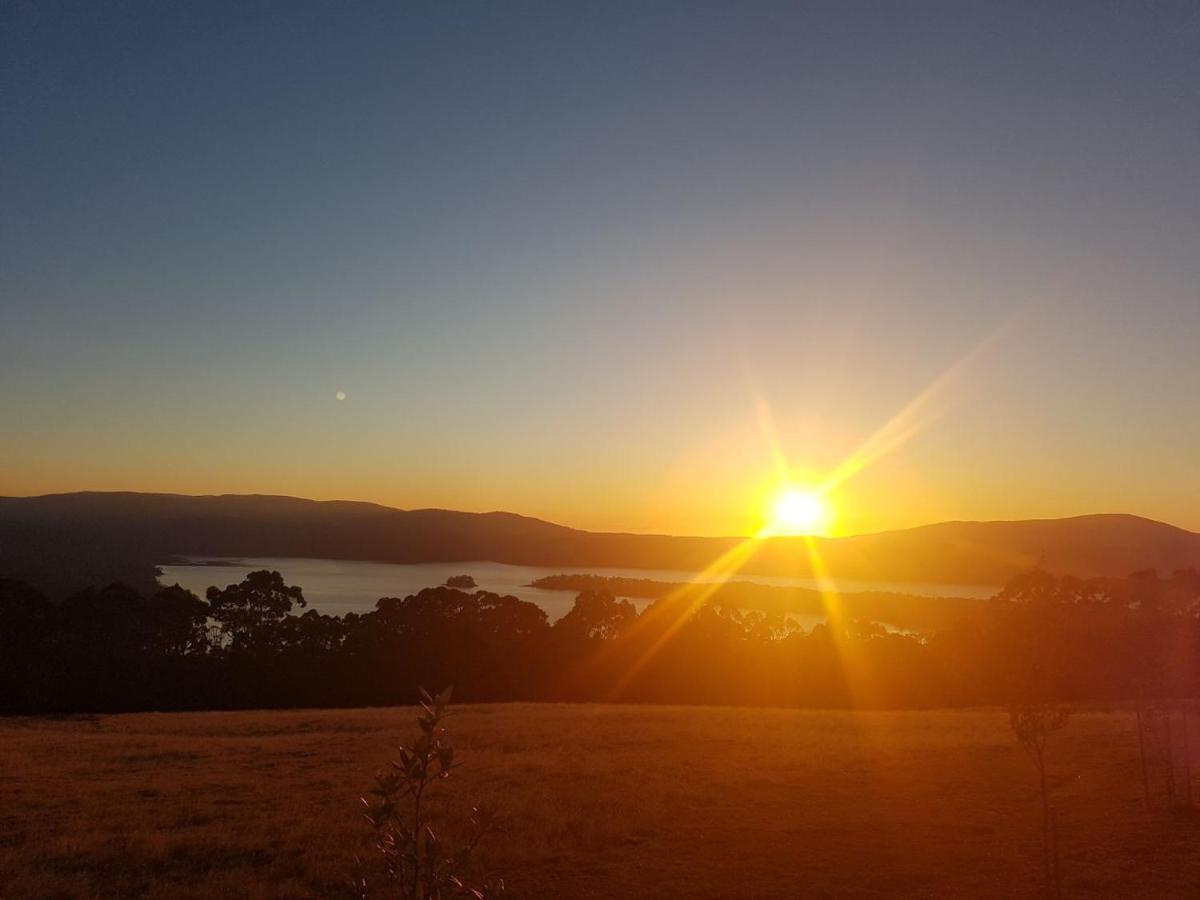 Ruby'S Cottage Farm Stay Port Arthur Esterno foto
