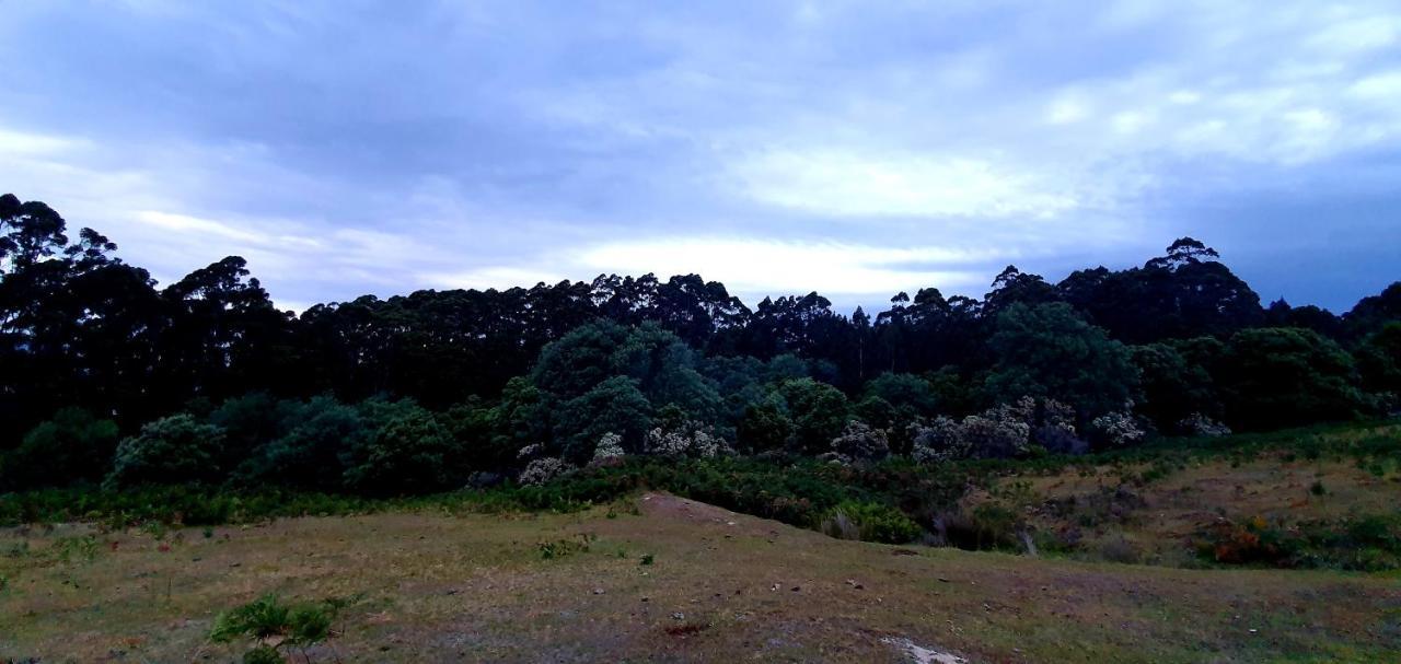 Ruby'S Cottage Farm Stay Port Arthur Esterno foto