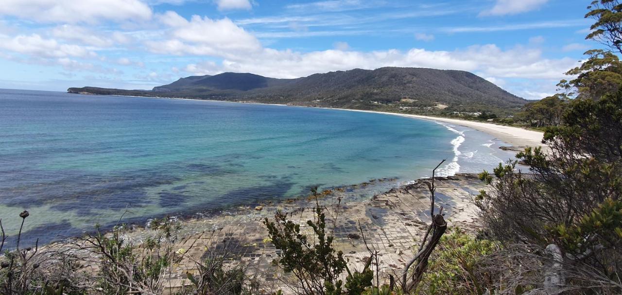 Ruby'S Cottage Farm Stay Port Arthur Esterno foto