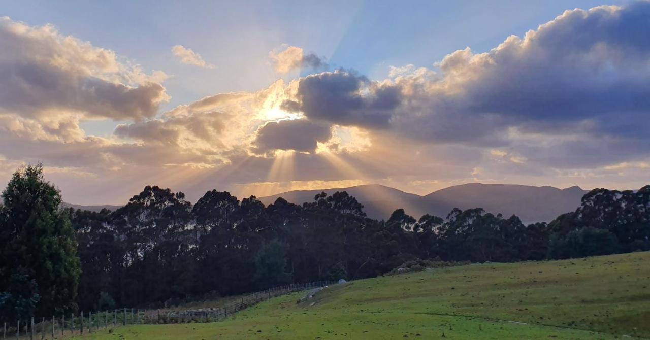 Ruby'S Cottage Farm Stay Port Arthur Esterno foto