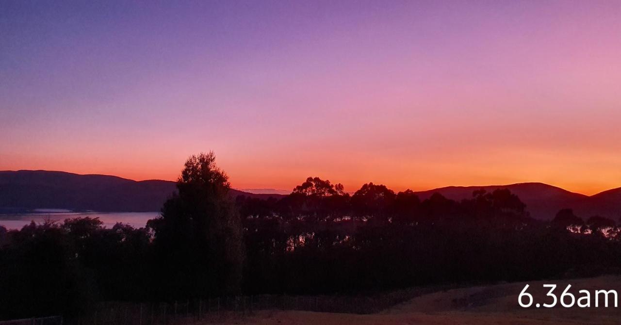 Ruby'S Cottage Farm Stay Port Arthur Esterno foto
