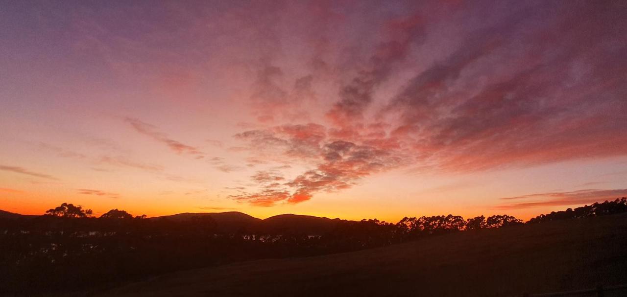 Ruby'S Cottage Farm Stay Port Arthur Esterno foto