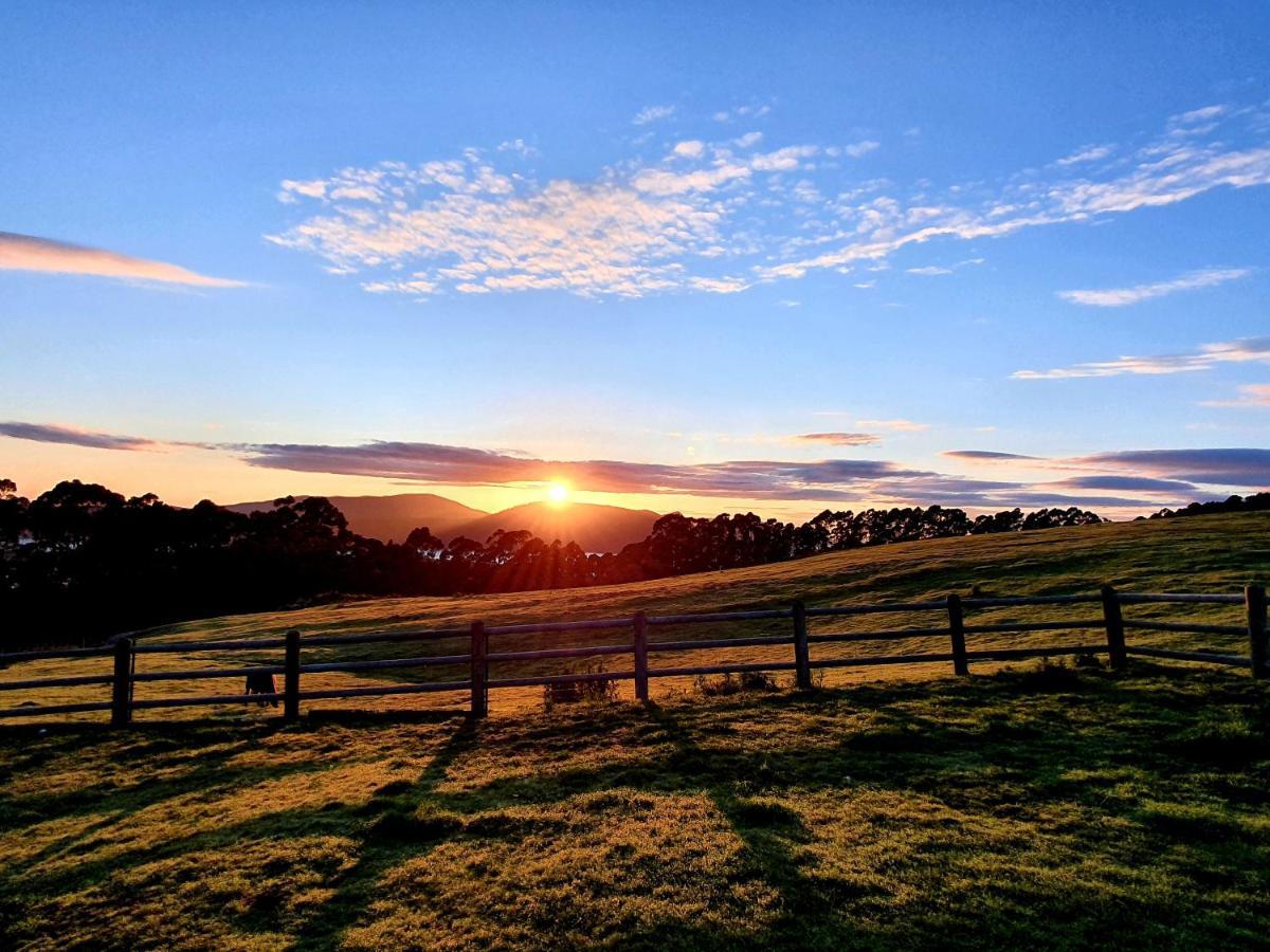 Ruby'S Cottage Farm Stay Port Arthur Esterno foto
