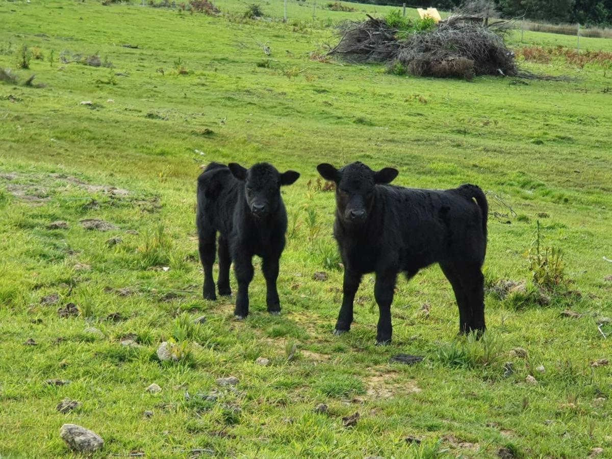 Ruby'S Cottage Farm Stay Port Arthur Esterno foto