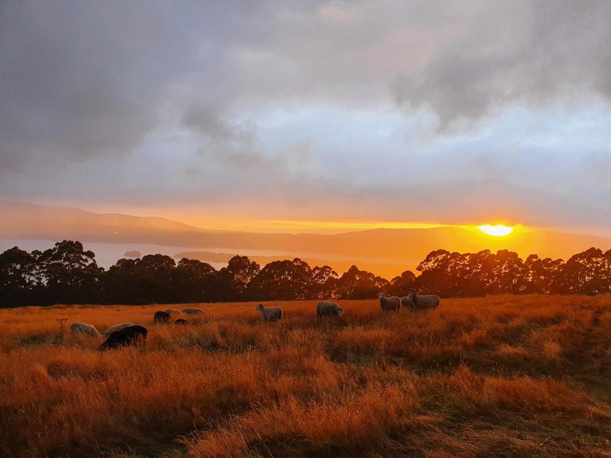 Ruby'S Cottage Farm Stay Port Arthur Esterno foto