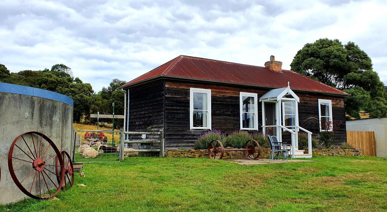Ruby'S Cottage Farm Stay Port Arthur Esterno foto
