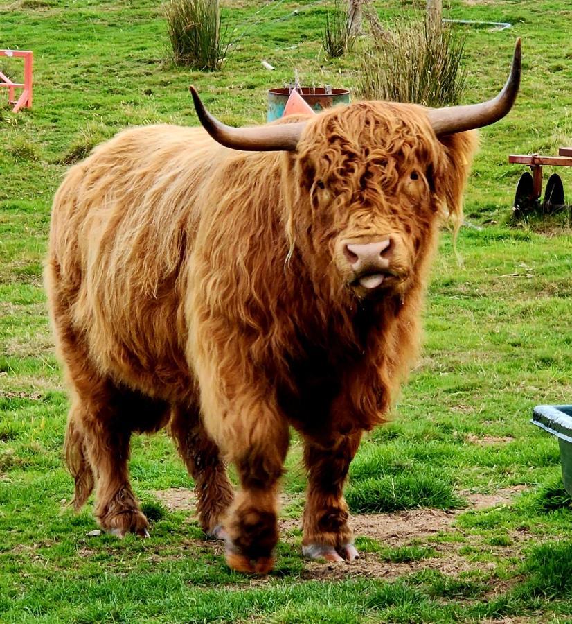 Ruby'S Cottage Farm Stay Port Arthur Esterno foto