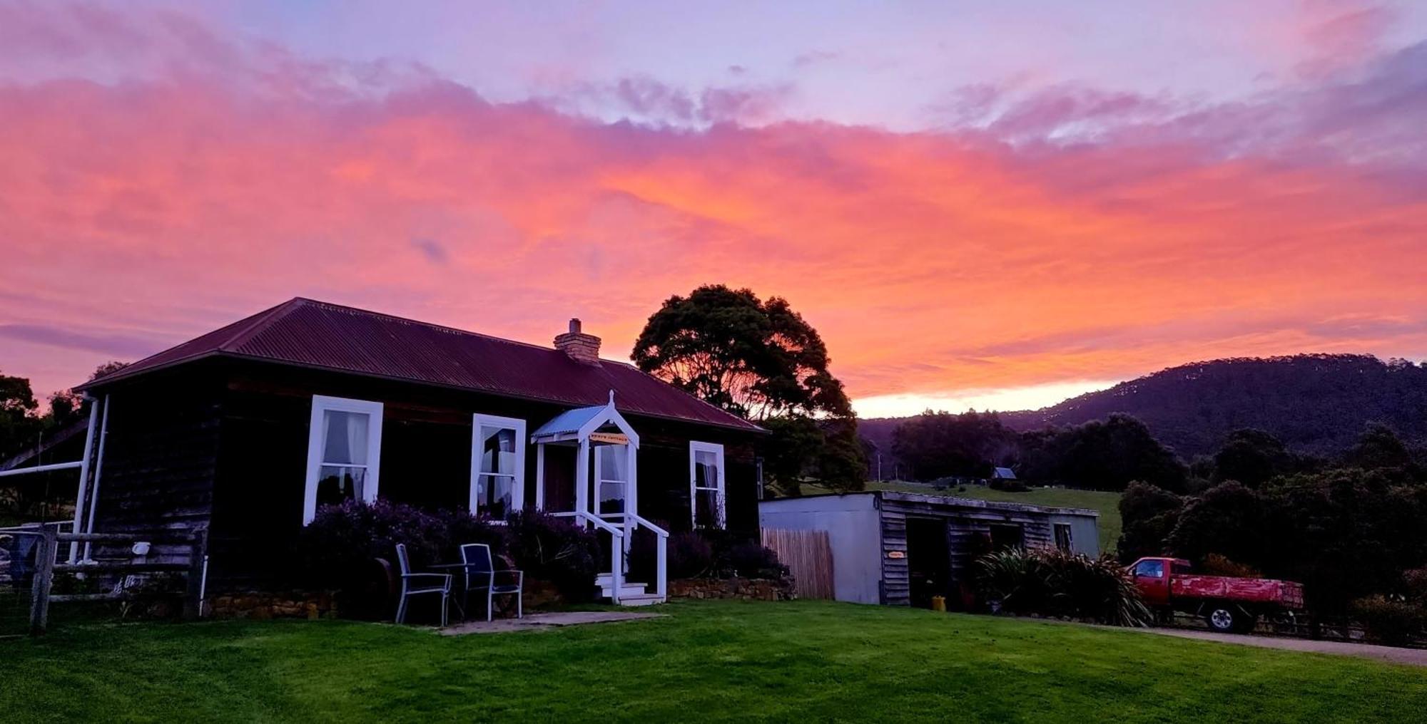 Ruby'S Cottage Farm Stay Port Arthur Esterno foto