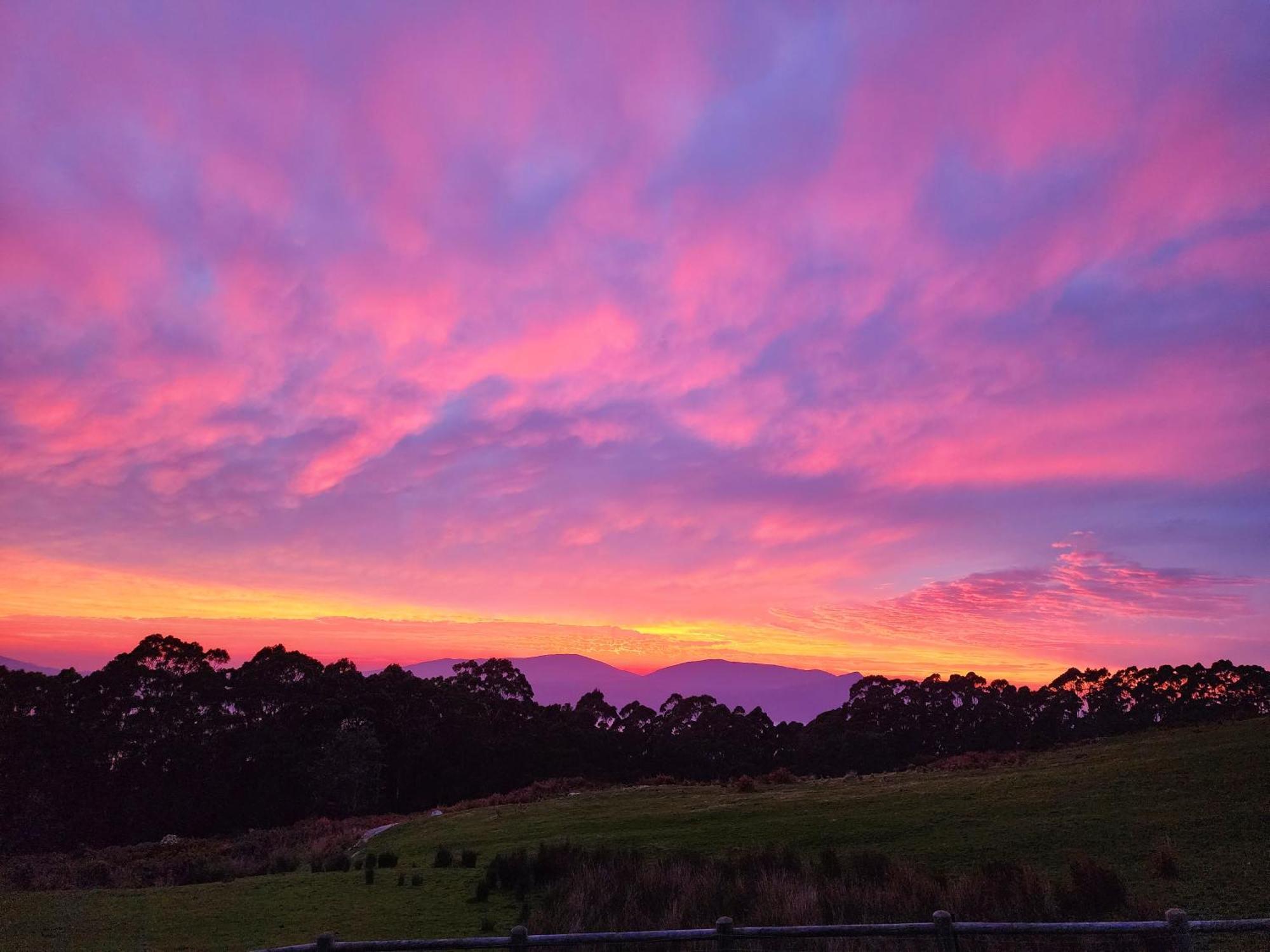 Ruby'S Cottage Farm Stay Port Arthur Esterno foto