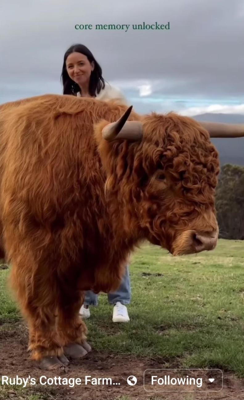Ruby'S Cottage Farm Stay Port Arthur Esterno foto