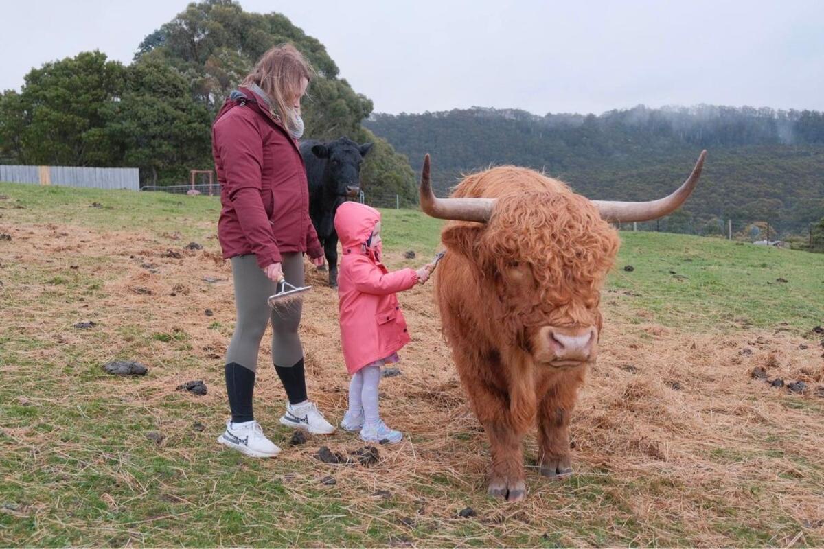 Ruby'S Cottage Farm Stay Port Arthur Esterno foto